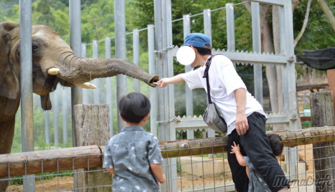 【旅育】in香川 子連れおすすめスポット「しろとり動物園」
